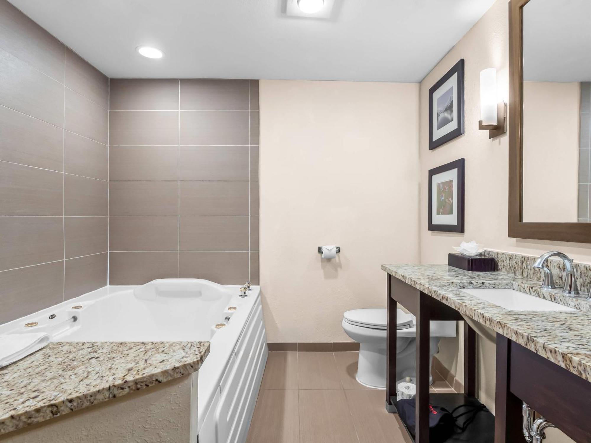Hotel Comfort & - Dearborn 3*
